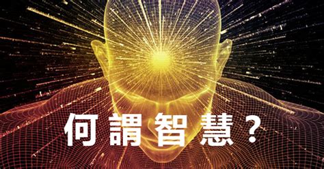 988luck|什么是智慧，什么是聪明？ .
